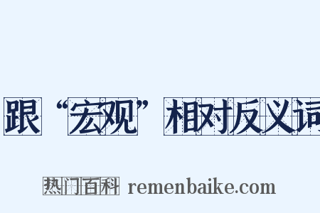 跟“宏观”相对反义词是什么意思的图片